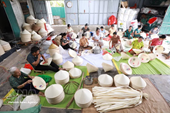 New master plan aims to boost Vietnam’s collective economy through 2030